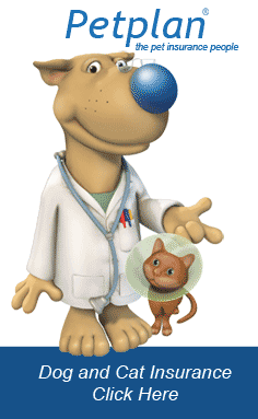 PetPlan