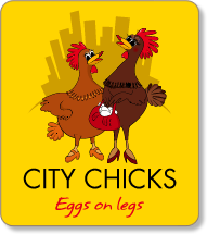 city-chicks-logo