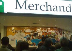 05-Merchandise-stall