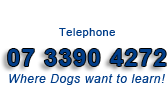 telephone