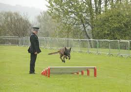 Policedogtrials