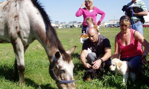 at sunday puppy school 17