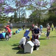 26 CLEAR Puppy school 19-10-08 (82)