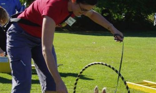 at sunday puppy school 22