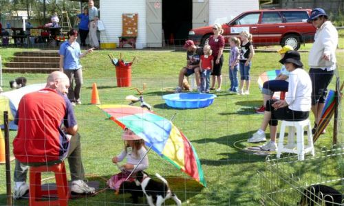 at sunday puppy school 32