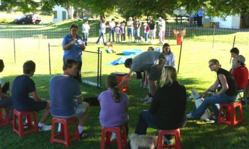 at sunday puppy school 33