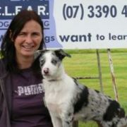 at sunday puppy school  51