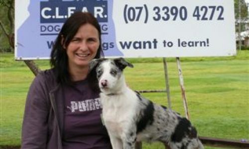 at sunday puppy school  51