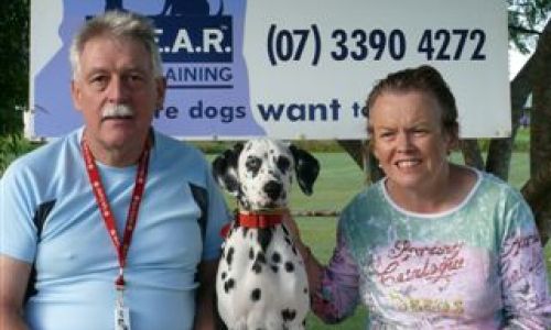  clear puppy school - 2-5-09ws 060