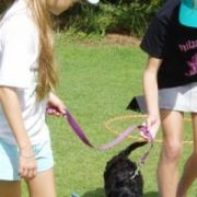 at sunday puppy school 20